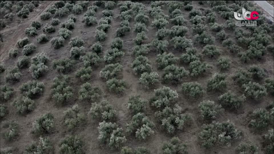 البرنامج الثقافي أرض ونار - تطور فن الطبخ - الحلقة 10