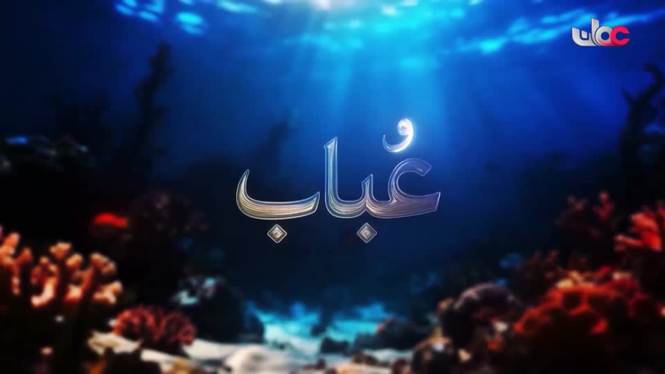 برنامج/سكنى