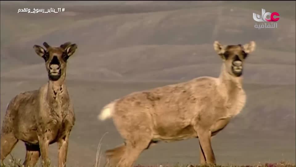 ندوات معرض مسقط الدولي للكتاب 2025 - الحلقة 11