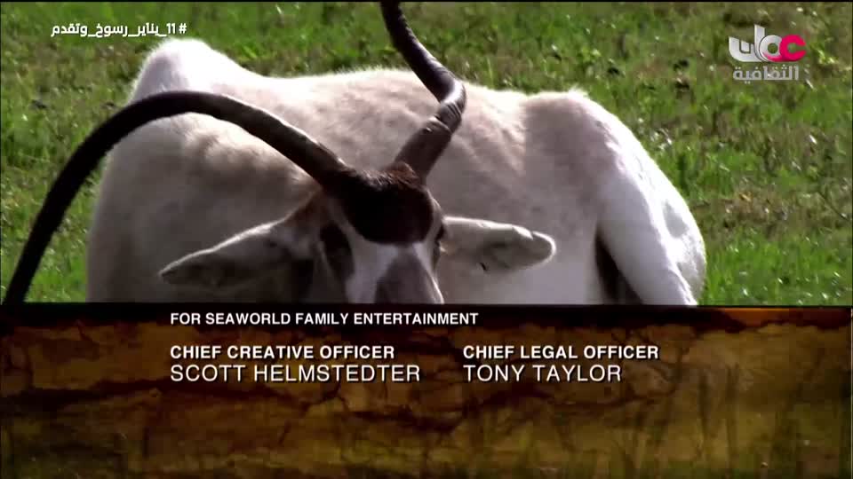 البرنامج الثقافي - هل تعلم ج2 - الحلقة 12