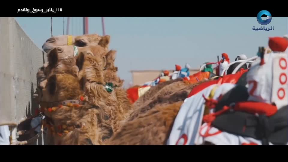 ////////////////////////////