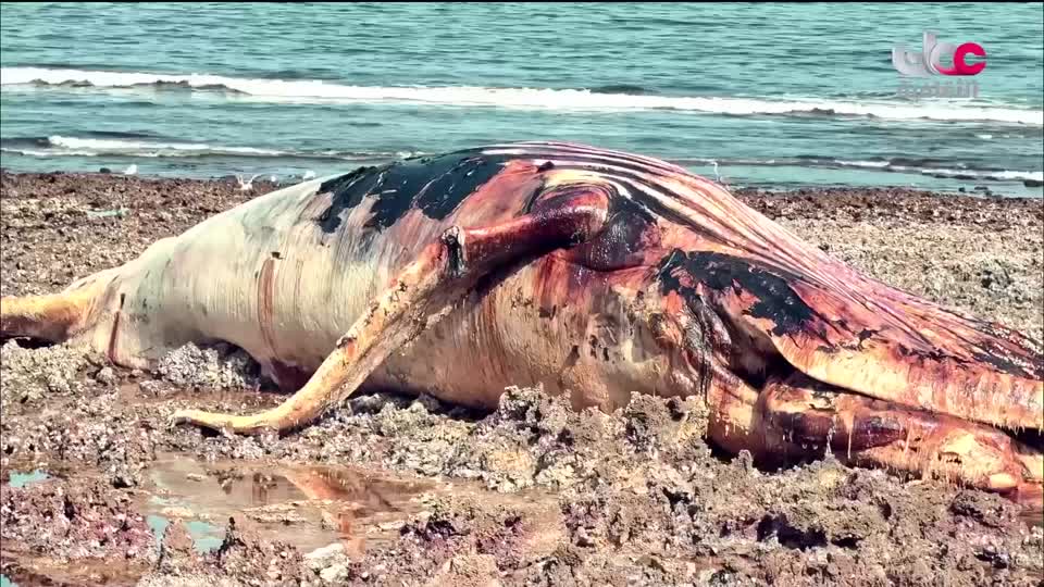 افضل عشرة فنون معمارية في العالم - الحلقة 2