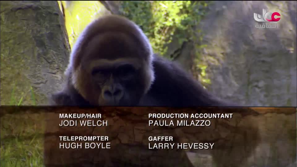 برنامج _ اعلام الشعر العربي - الحلقة 12