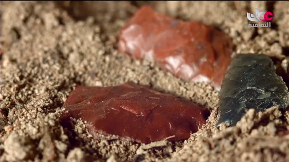 البرنامج الثقافي - ديجتال - الحلقة 2