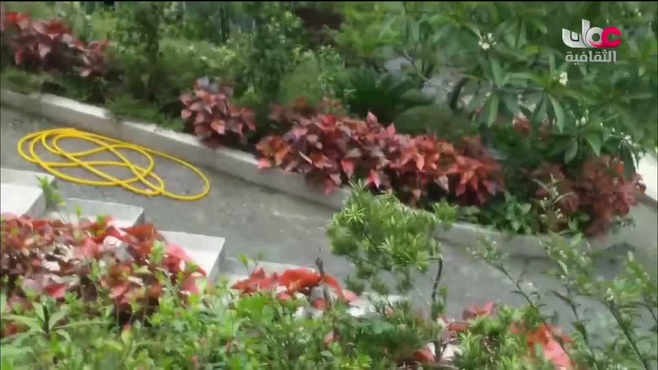 البرنامج الثقافي _ عشاق السفر - الحلقة 7