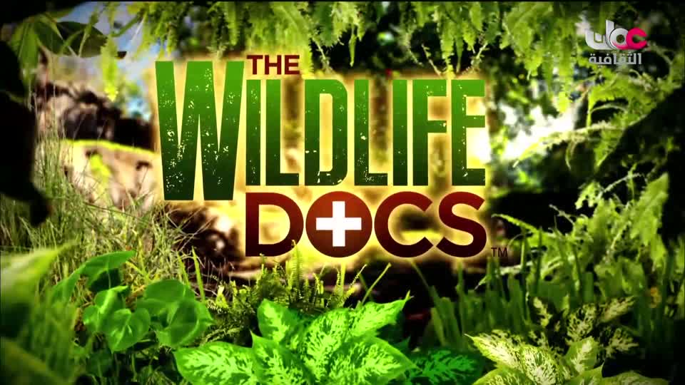 برنامج مكان و أثر