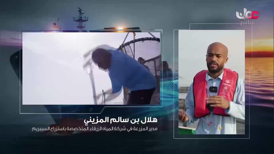 برنامج/مؤشرات