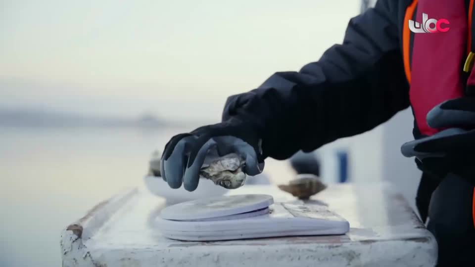 برنامج/مؤشرات