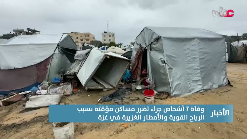 نشرة الواحدة