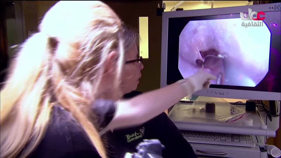 برنامج _ اعلام الشعر العربي - الحلقة 14