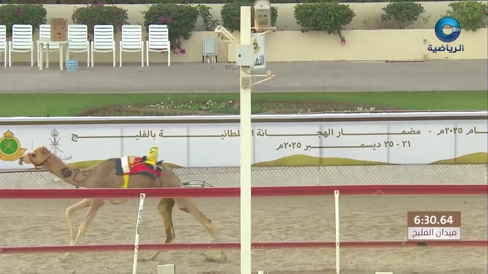 السباق العام للمهرجان السنوي لسباقات الهجن الاهلية - الفليج 2026 - الحلقة 1