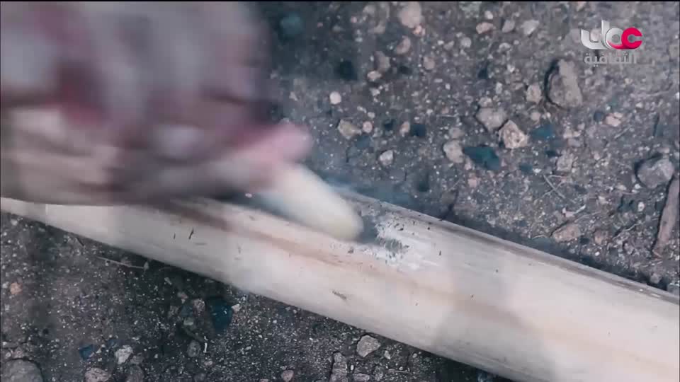 البرنامج الثقافي - أسرار الدماغ ج2