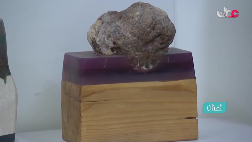 برنامج/أفنان