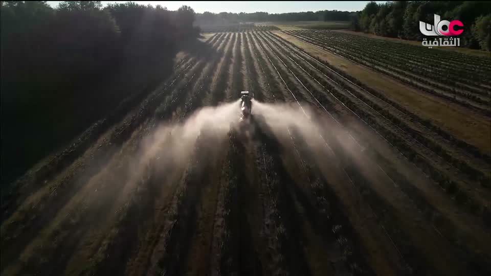 البرنامج الثقافي - أجمل ثمانون جزيرة في العالم