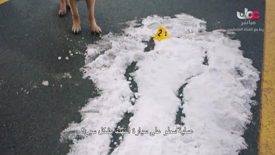 برنامج - السياحة البيئية - الحلقة 14