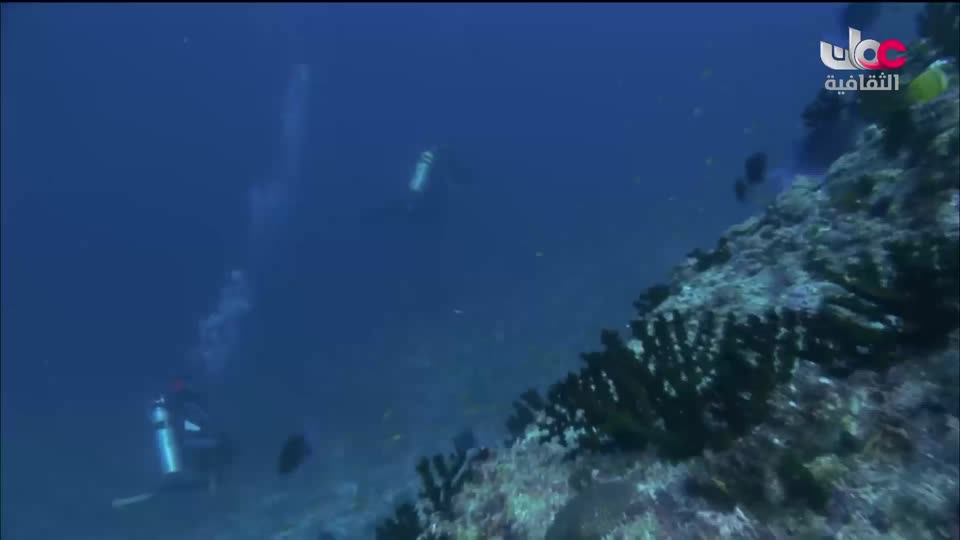 البرنامج الثقافي - الفضاء الشاسع - الحلقة 16