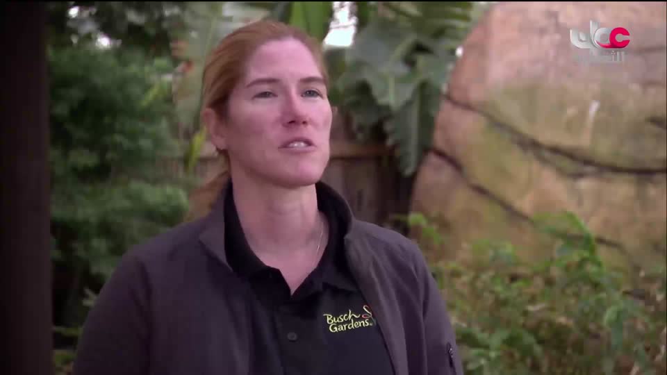 برنامج _ اعلام الشعر العربي - الحلقة 17