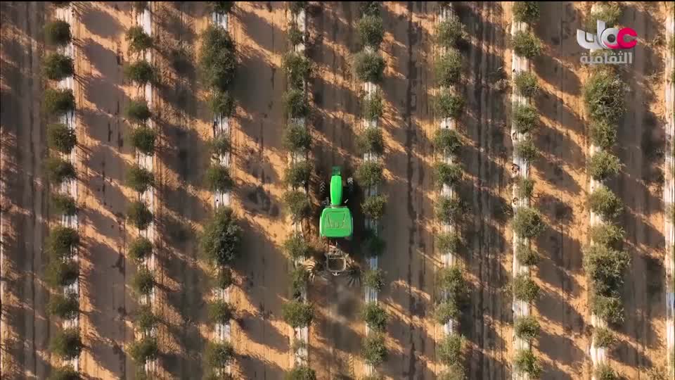 البرنامج الثقافي البحث عن المعرفة - الحلقة 17