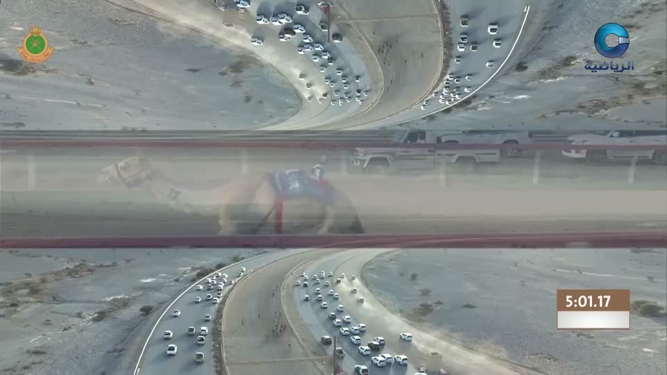 السباق العام للمهرجان السنوي لسباقات الهجن الاهلية - الفليج 2026 - الحلقة 5