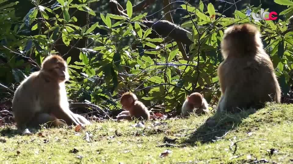 آذان العصـــــــر