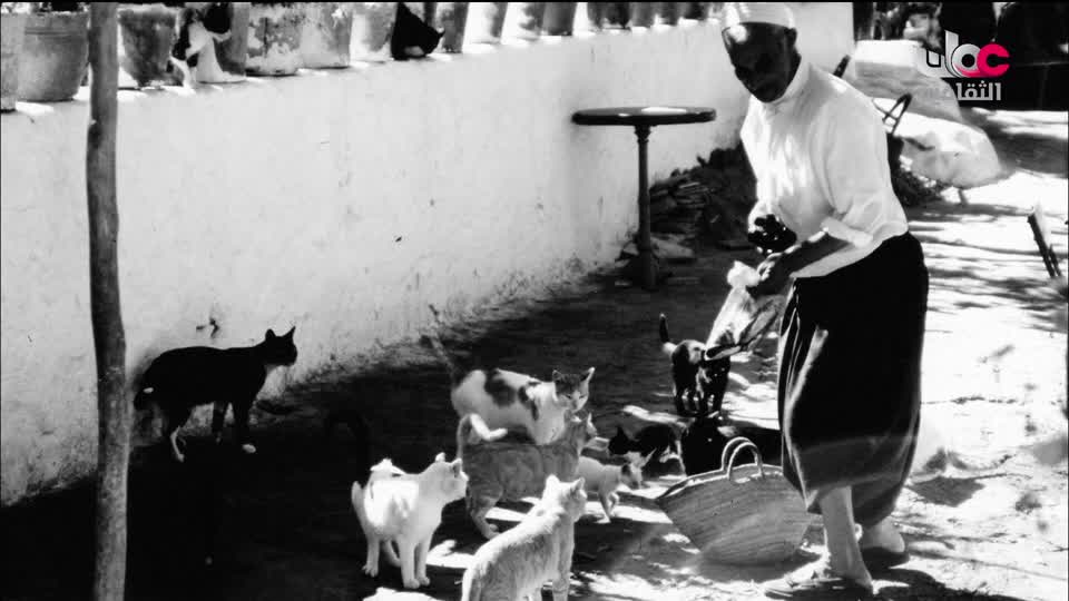 البرنامج الثقافي مقاهي عتيقة - الحلقة 14