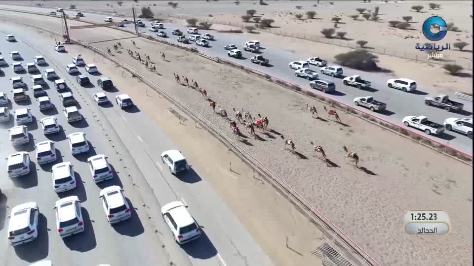 2026 السباق السنوي للاتحاد العماني لسباقات الهجن