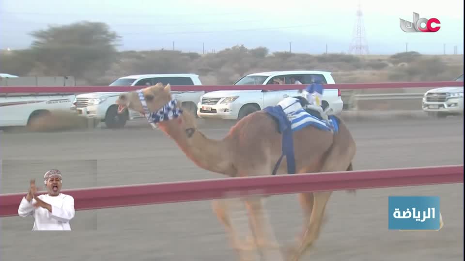 نشرة أخبار العاشرة