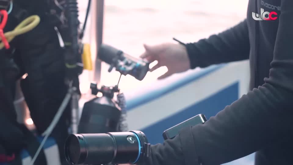 أغنية وطنية