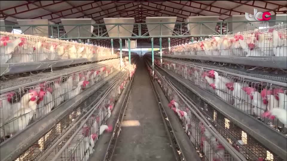 البرنامج الثقافي - أجمل ثمانون جزيرة في العالم