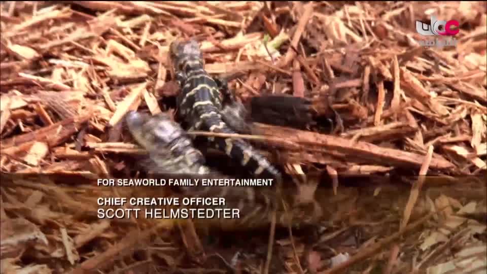 برنامج _ اعلام الشعر العربي - الحلقة 18