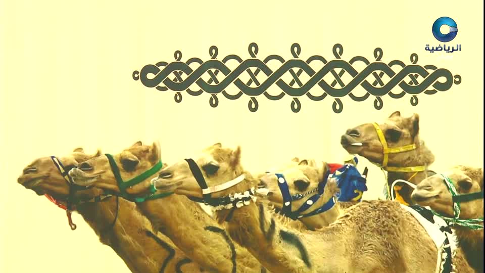 2026 السباق السنوي للاتحاد العماني لسباقات الهجن