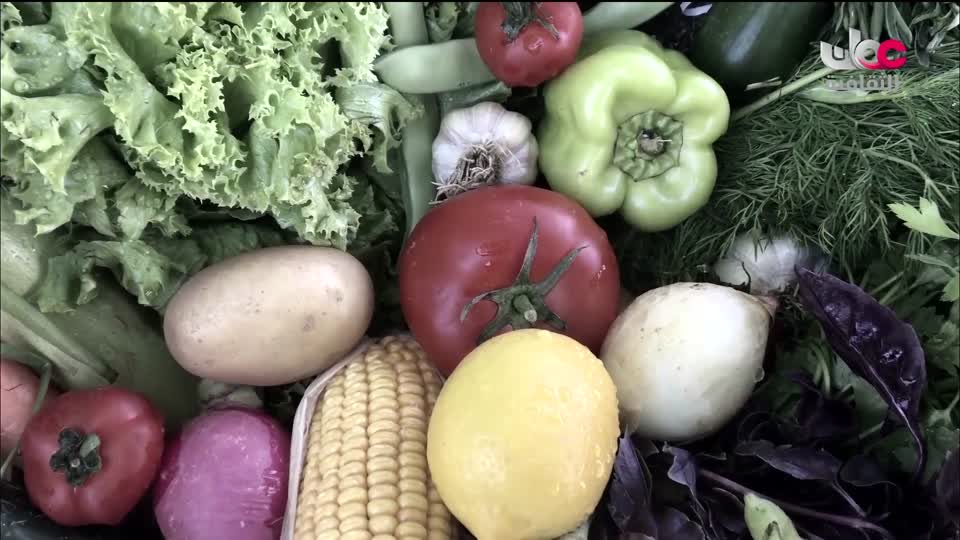 البرنامج الثقافي أرض ونار - تطور فن الطبخ - الحلقة 18