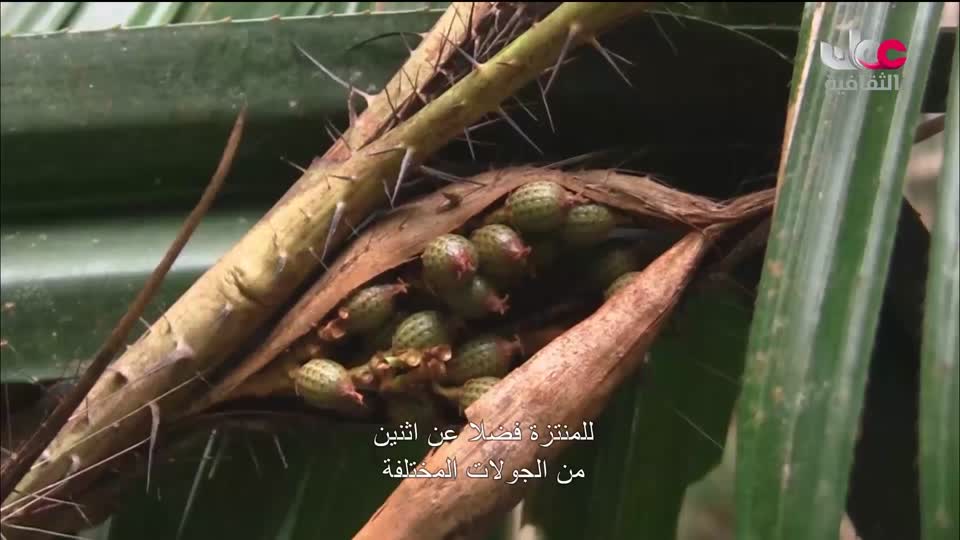 البرنامج الثقافي _ عشاق السفر - الحلقة 3