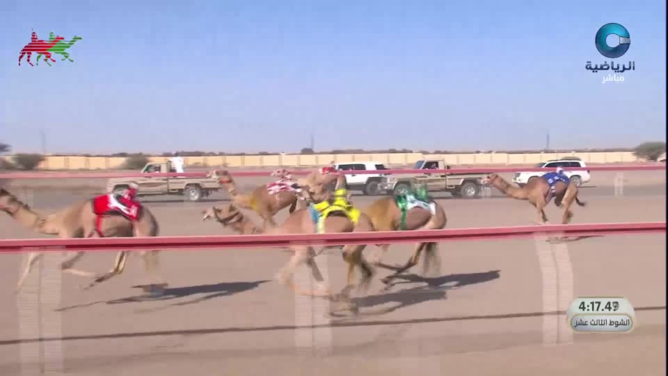 2026 السباق السنوي للاتحاد العماني لسباقات الهجن