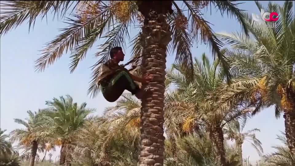 برنامج - كنوز الصحراء - الحلقة 20