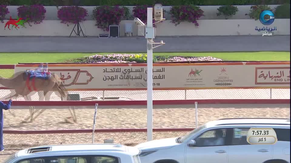 2026 السباق السنوي للاتحاد العماني لسباقات الهجن