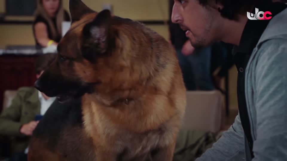 ماذا تعرف عن