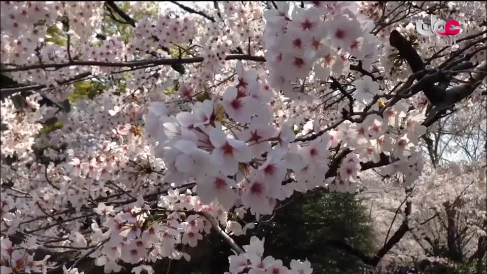 البرنامج الوثائقي - الأمن الغذائي - الحلقة 10