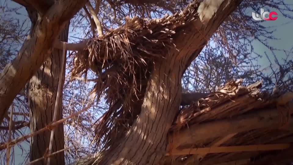 برنامج/مؤشرات