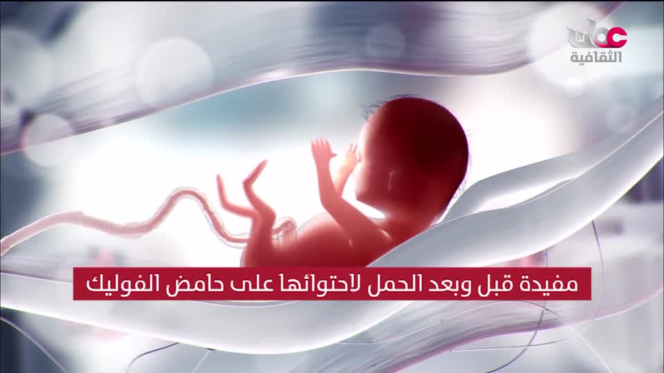 البرنامج الثقافي - عالم الأشجار