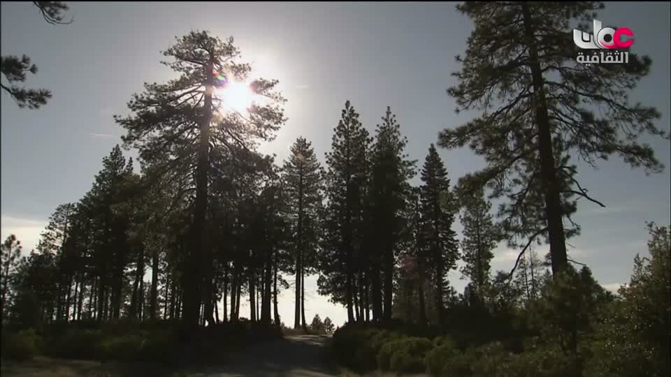 برنامج _ البوصلة - الحلقة 20