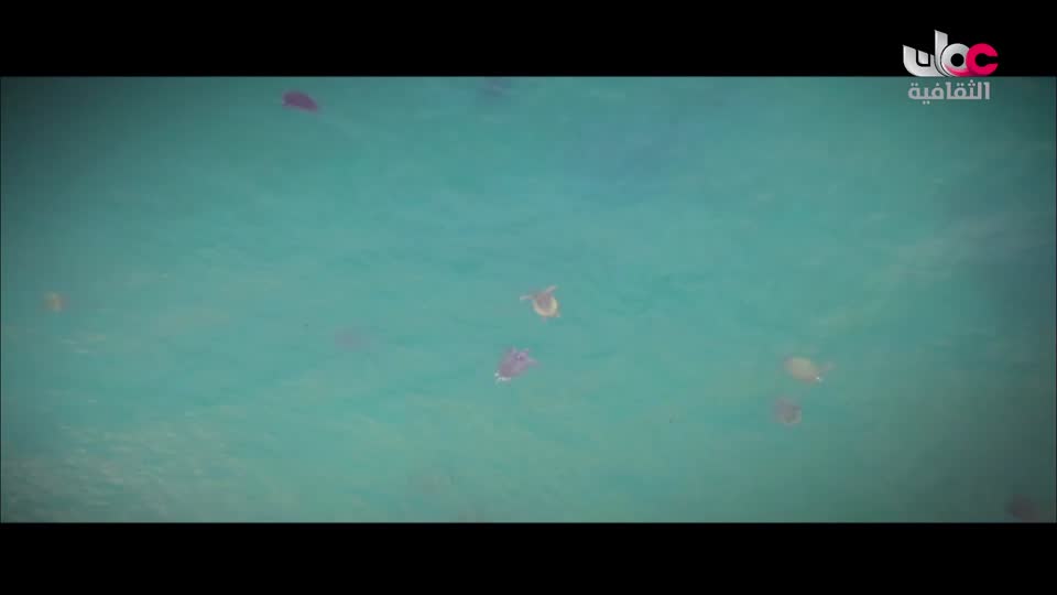 برنامج - رحلات ممتعة - الحلقة 5