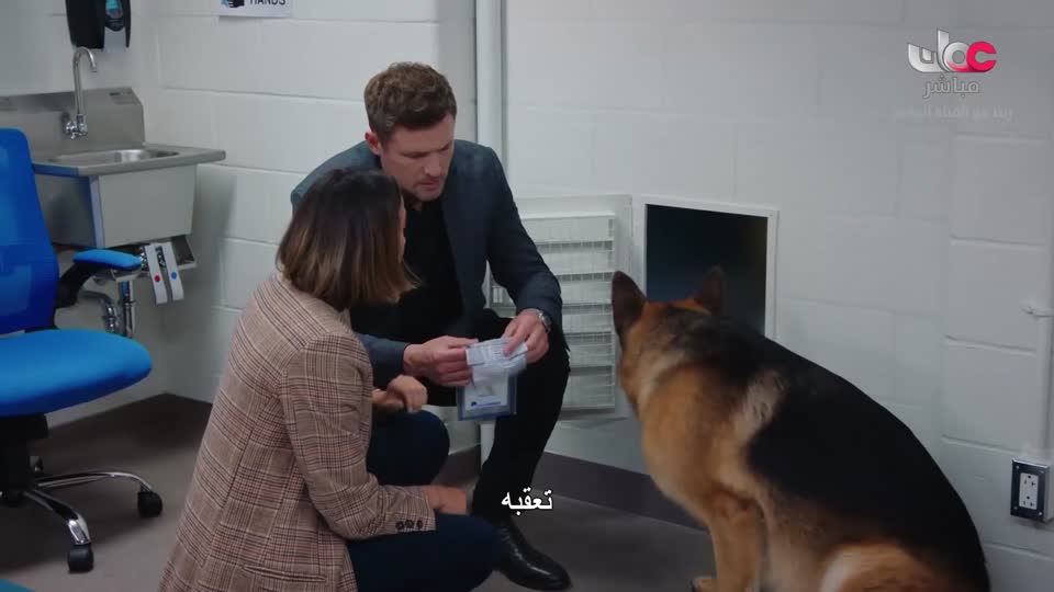 HUDSON AND REX - المسلسل الاجنبي - الحلقة 52