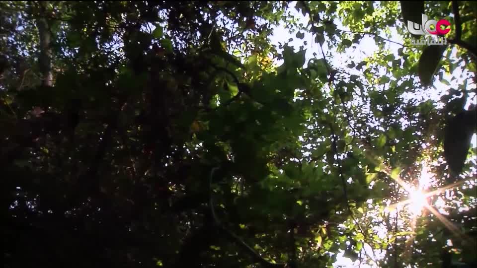 البرنامج الثقافي - المناخ والطبيعة - الحلقة 12