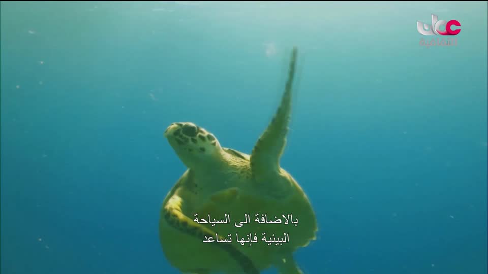 البرنامج الثقافي _ عشاق السفر - الحلقة 5