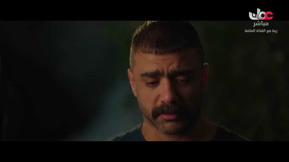 المسلسل العربي - وتقابل حبيب - الحلقة 29