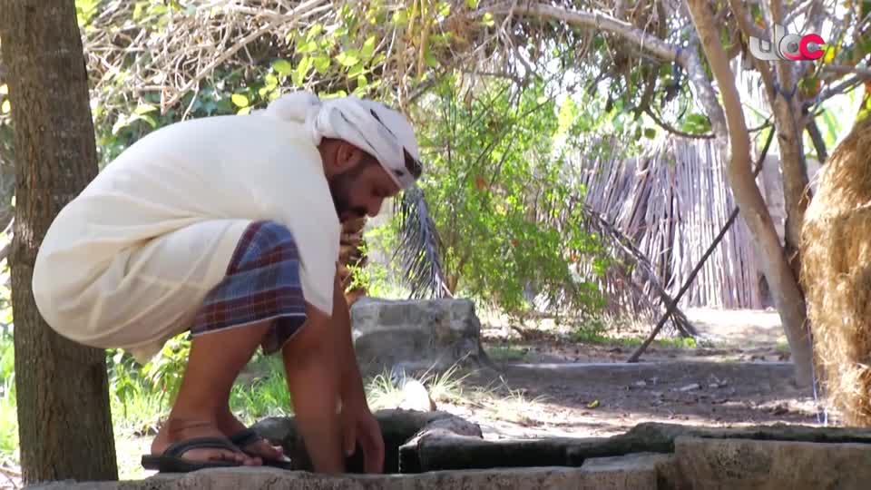 برنامج/أفنان