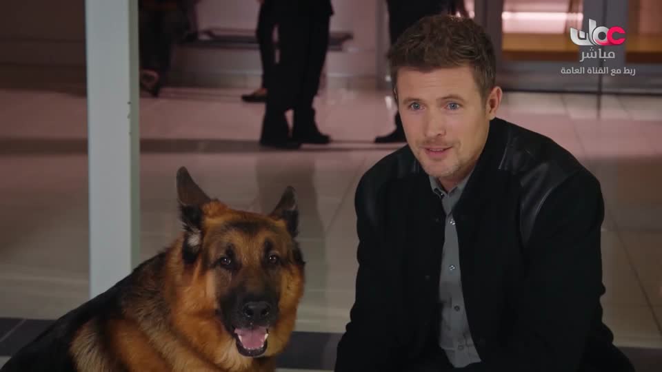 ماذا تعرف عن