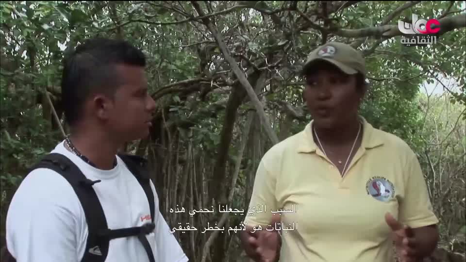 البرنامج الثقافي - الفضاء الشاسع - الحلقة 22