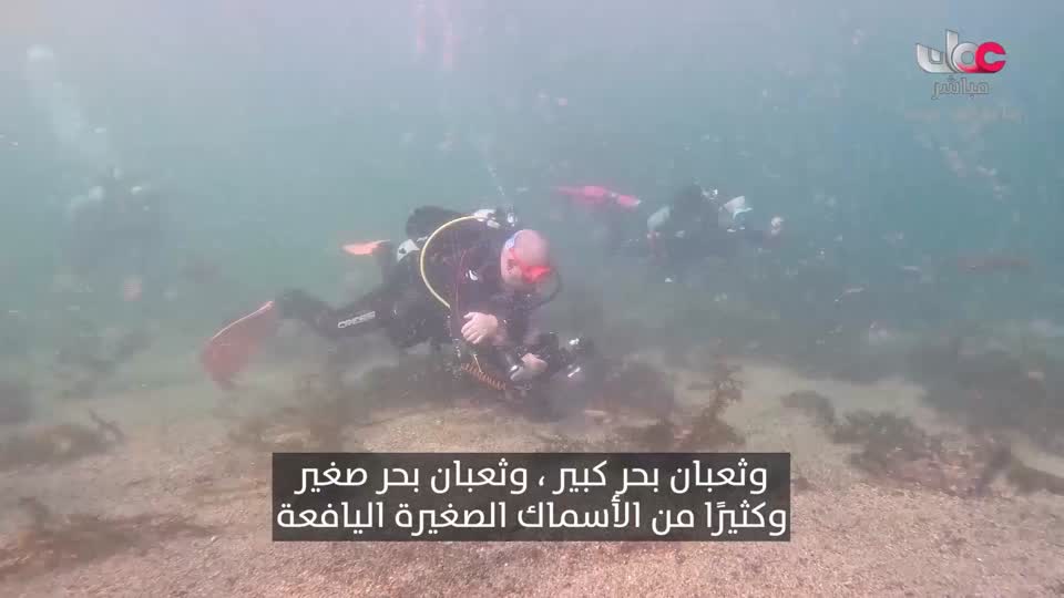 HUDSON AND REX - المسلسل الاجنبي - الحلقة 54